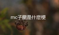 mc子龍是什麽梗